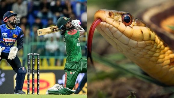 Sri Lanka Vs Bangladesh, Snake: శ్రీలంక, బంగ్లా మ్యాచ్ లో కలకలం… ప్లేయర్లపైకి దూసుకొచ్చిన పాము !
