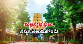 Srisailam tour: శ్రీశైలం వెళ్లారా? కేవలం రూ.50తో.. ఈ సౌకర్యం మిస్ కావద్దు!