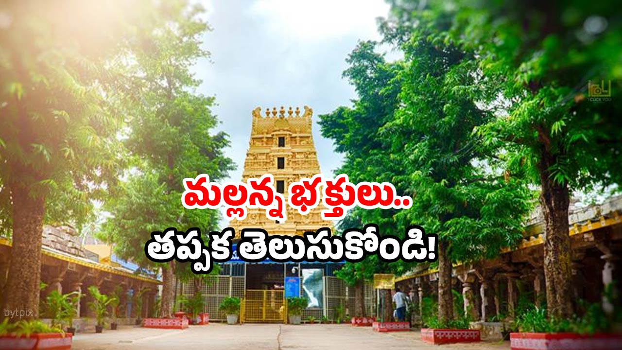 Srisailam tour: శ్రీశైలం వెళ్లారా? కేవలం రూ.50తో.. ఈ సౌకర్యం మిస్ కావద్దు!