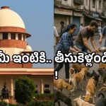 Street dogs: కుక్కలు ఓకే.. కానీ ప్రజల పరిస్థితి ఏంటి? సుప్రీంకోర్టు సంచలన కామెంట్స్!