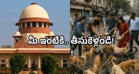 OTT Movie : ఫస్ట్ నైట్ రోజే మందేసి చెప్పకూడని విషయం చెప్పే భార్య... దిమ్మతిరిగే షాక్ ఇచ్చే భర్త... ఈ మలయాళ మూవీని డోంట్ మిస్