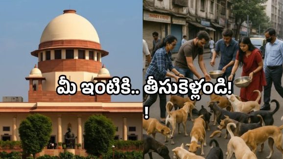 Street dogs: కుక్కలు ఓకే.. కానీ ప్రజల పరిస్థితి ఏంటి? సుప్రీంకోర్టు సంచలన కామెంట్స్!