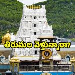 TTD August calendar 2025: తిరుమల యాత్రకు ఇదే బెస్ట్ టైమ్.. ఆగస్ట్ లో ఈ తేదీలు గుర్తుంచుకోండి!