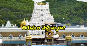 SSMB 29: మహేష్ ఫ్యాన్స్ కి బ్యాడ్ న్యూస్, ఇది ఎక్స్పెక్ట్ చేయలేదు జక్కన్న