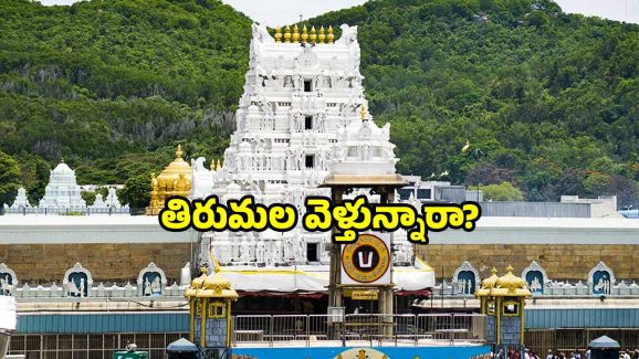 TTD August calendar 2025: తిరుమల యాత్రకు ఇదే బెస్ట్ టైమ్.. ఆగస్ట్ లో ఈ తేదీలు గుర్తుంచుకోండి!