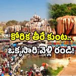 Telangana Hidden Temples: ఇదెక్కడ అమ్మో! అడవిలోనే అద్భుత శక్తి స్థలం.. మీరు దర్శించారా?