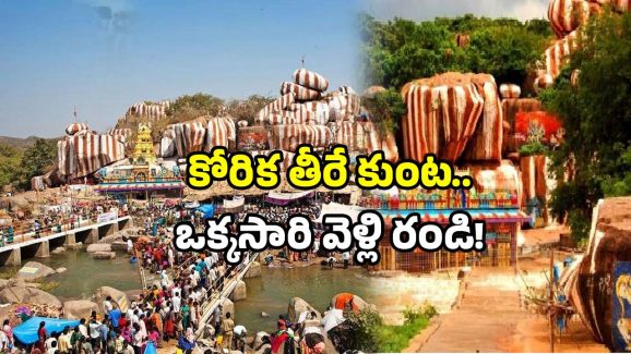 Telangana Hidden Temples: ఇదెక్కడ అమ్మో! అడవిలోనే అద్భుత శక్తి స్థలం.. మీరు దర్శించారా?
