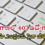 Telangana Jobs: తెలంగాణలో భారీగా ఉద్యోగాలు.. ఈ అర్హత ఉంటే చాలు, రూ.2లక్షలకు పైగా జీతం