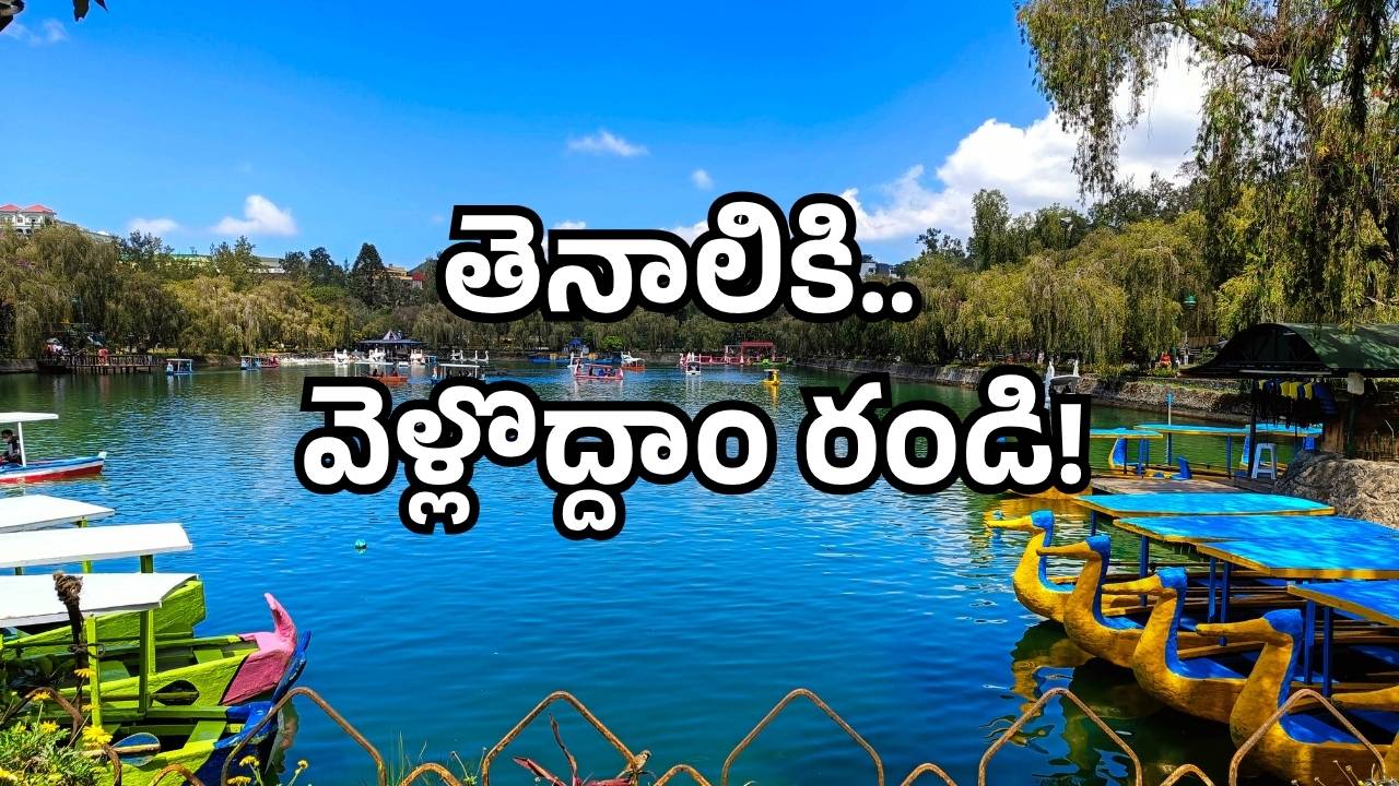 Tenali boating project: వెళ్తున్నారా తెనాలికి? స్కైవాక్ బ్రిడ్జ్, బోటింగ్ రైడ్ రెడీ!