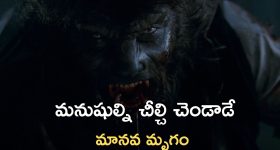 Single Life: ఆడ తోడు లేని సింగిల్స్ ఎలా బతకాలి? ఆ కోరికలను ఎలా కంట్రోల్ చేసుకోవాలి?