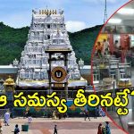 Tirumala News: తిరుమల భక్తులకు మరొక కబురు..ఇకపై తక్కువ ధరకే