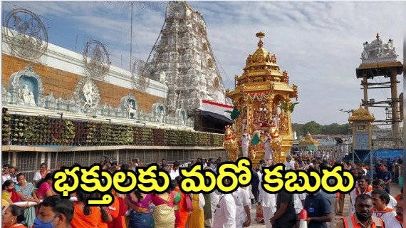 Tirumala News: తిరుమల బ్రహ్మోత్సవాలు 2025.. యువతీయువకులకు ఛాన్స్