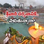 Tirumala Darshan Que: తిరుమలలో పెరిగిన భక్తుల రద్దీ.. ప్రస్తుత పరిస్థితి ఇదే!