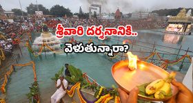 Tirumala Darshan Que: తిరుమలలో పెరిగిన భక్తుల రద్దీ.. ప్రస్తుత పరిస్థితి ఇదే!
