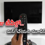 Today Movies in TV : ఆదివారం టీవీల్లోకి రాబోతున్న సినిమాలు.. వీటిని అస్సలు మిస్ అవ్వకండి..