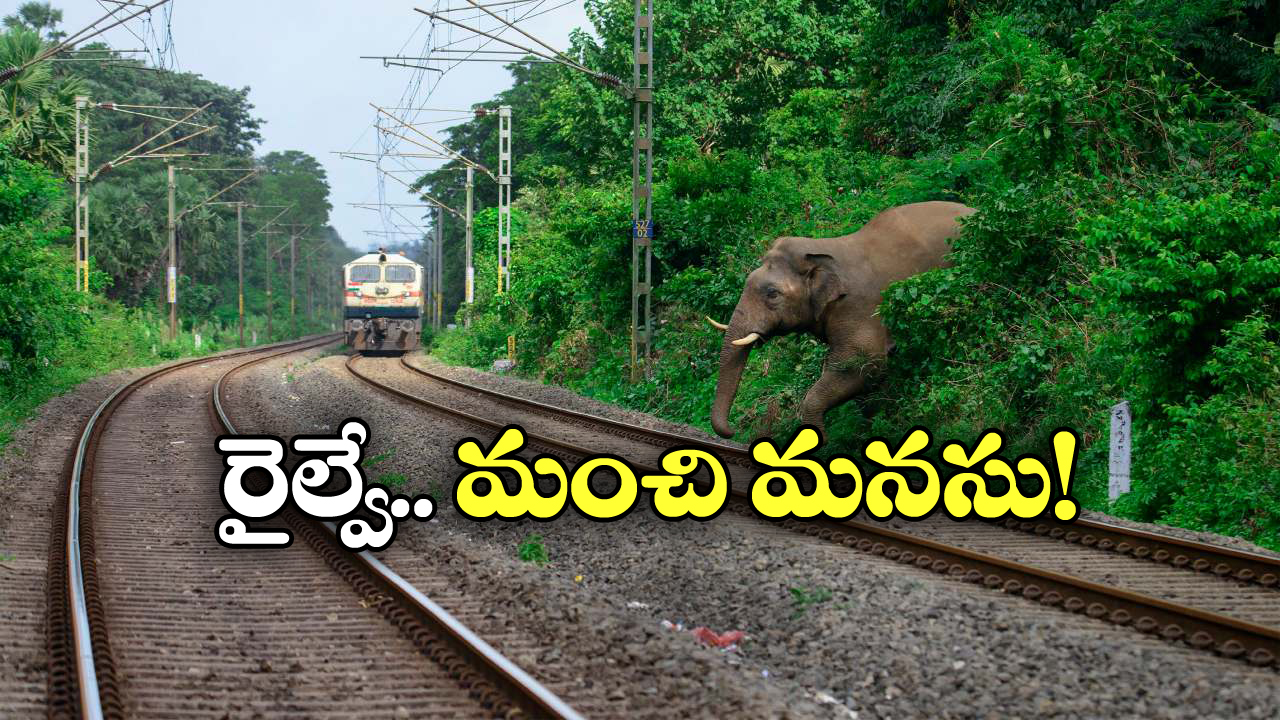 Train Halted: పట్టాలపై ఏనుగు ప్రసవం.. ఆ రూట్ లో రైళ్ల రాకపోకలన్నీ బంద్!