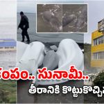 Tsunami Videos: సునామీ ఎలా విరుచుకుపడిందో చూడండి.. రష్యా నుంచి అమెరికా వరకు అల్లకల్లోలం!