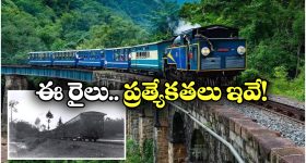 Anaconda Video: ఏం ధైర్యం బ్రో నీది.. అంత పెద్ద అనకొండను వట్టి చేతులతో పట్టేశావే..