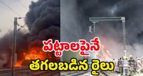 Train Fire Incident: పట్టాలు తప్పిన గూడ్స్‌ రైలు.. భారీగా చెలరేగిన మంటలు