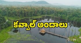 Kota Srinivas Rao Demise: కోటా మరణం.. సోషల్ మీడియా వేదికగా ప్రముఖుల సంతాపం!