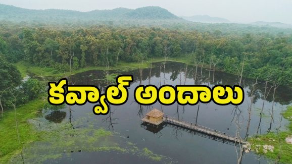 Best Tourist Place: టూర్​ ప్లాన్​ చేస్తున్నారా? తెలంగాణలోని ఈ ప్రాంతాన్ని విజిట్ చేయండి.. మైమరిచిపోతారు..