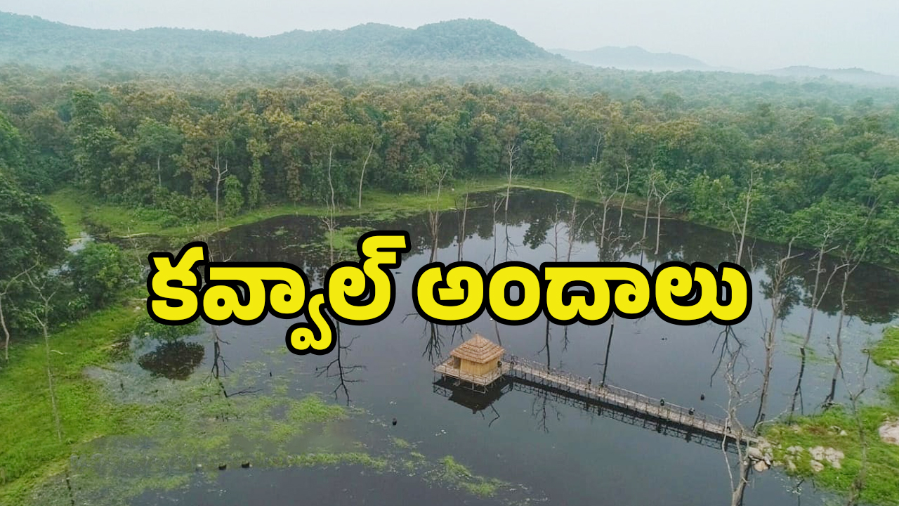 Best Tourist Place: టూర్​ ప్లాన్​ చేస్తున్నారా? తెలంగాణలోని ఈ ప్రాంతాన్ని విజిట్ చేయండి.. మైమరిచిపోతారు..