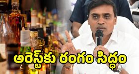 Chandrababu Tirupati Visit: నేడు స్వచ్ఛాంధ్ర కార్యక్రమం.. తిరుపతిలో సీఎం చంద్రబాబు పర్యటన
