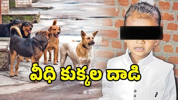 Stray Dog Attack: వీధి కుక్కల దాడిలో.. మూడేళ్ల బాలుడి మృతి