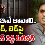 Mithun Reddy: జైల్లో ప్రొటీన్‌ పౌడర్ కావాలి.. ఏసీబీ కోర్టులో మిథున్‌రెడ్డి పిటిషన్