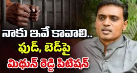 Mithun Reddy: జైల్లో ప్రొటీన్‌ పౌడర్ కావాలి.. ఏసీబీ కోర్టులో మిథున్‌రెడ్డి పిటిషన్