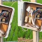 Snake in Motor Box: వామ్మో.. పాము అక్కడికెలా ఎక్కిందో..? వైరల్ వీడియో