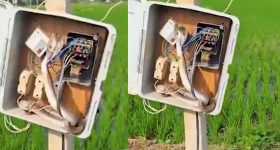 Snake in Motor Box: వామ్మో.. పాము అక్కడికెలా ఎక్కిందో..? వైరల్ వీడియో
