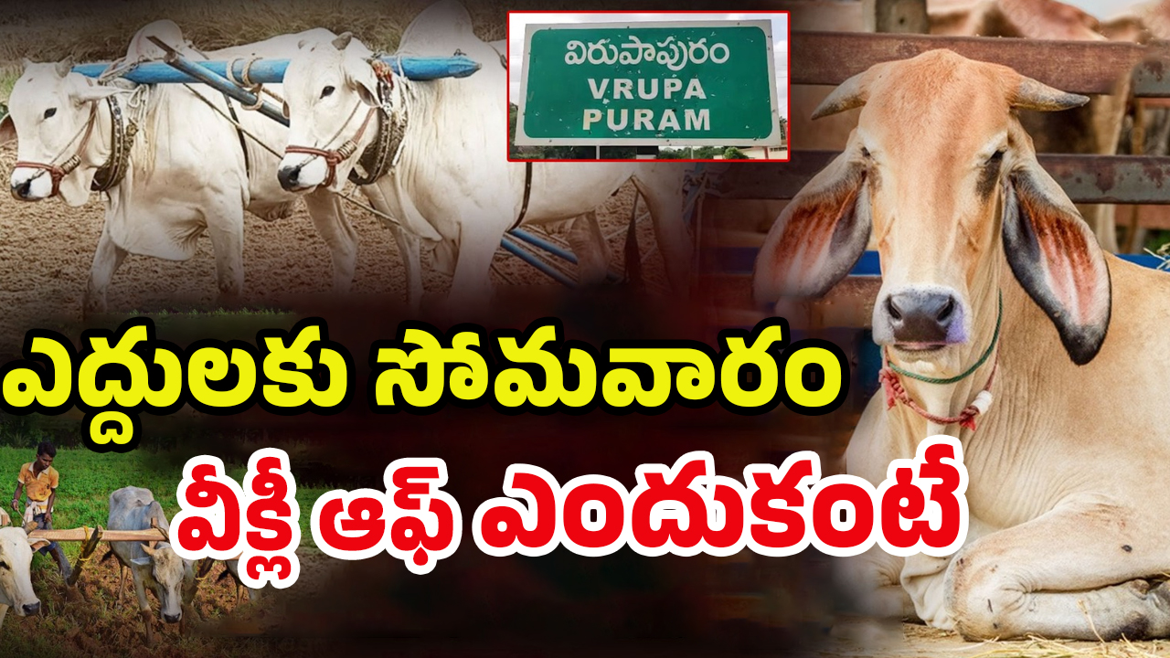 Strange Ritual: ఆ గ్రామంలో వింత ఆచారం.. సోమవారం పశువులకు సెలవు! అసలు కారణం ఏంటంటే..