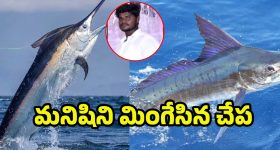Samantha: కంట్రోల్ చేసుకోవటం నావల్ల కాలేదు... మూడు రోజులు అదే పనిలో సమంత!