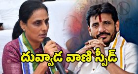 Duvvada Vani: దువ్వాడకు షాక్.. టెక్కలి నుండి దువ్వాడ వాణి పోటీ?