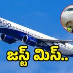 Indigo Flight: ఇండిగో విమానాన్ని ఢీకొట్టిన పక్షి.. ఎమర్జెన్సీ ల్యాండింగ్