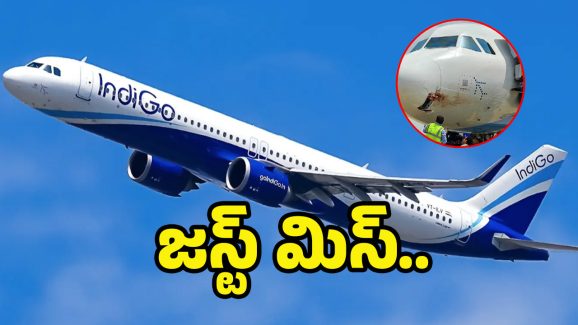 Indigo Flight: ఇండిగో విమానాన్ని ఢీకొట్టిన పక్షి.. ఎమర్జెన్సీ ల్యాండింగ్