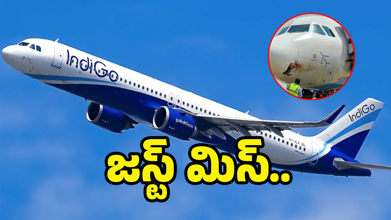 Indigo Flight: ఇండిగో విమానాన్ని ఢీకొట్టిన పక్షి.. ఎమర్జెన్సీ ల్యాండింగ్
