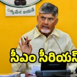 CM Chandrababu: మీరేం మంత్రులయ్యా..! సీఎం చంద్రబాబు ఫైర్
