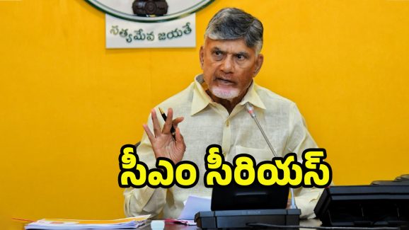 CM Chandrababu: మీరేం మంత్రులయ్యా..! సీఎం చంద్రబాబు ఫైర్