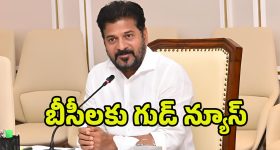 BC Reservations: స్థానిక సంస్థల ఎన్నికల్లో.. బీసీలకు 42 శాతం రిజర్వేషన్‌