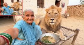 Viral Video : సింహంతో సెల్ఫీ.. సోషల్ మీడియాను షేక్ చేస్తున్న బామ్మ..