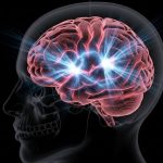 Human Brain: మనిషి మెదడు నుంచి మెరుపు.. పరిశోధనలో ఆసక్తికర విషయాలు