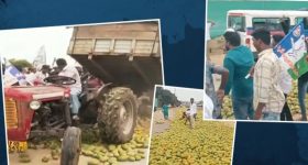 YS Jagan Chittoor Tour: రోడ్డుపై మామిడి కాయలు వేసి తొక్కించిన జగన్ దళం.. ఫుడ్ విలువ తెలుసా?