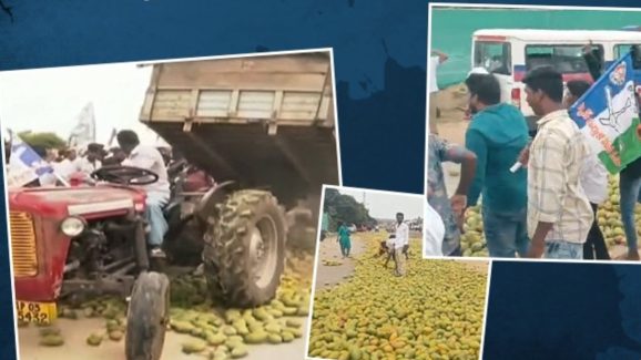 YS Jagan Chittoor Tour: రోడ్డుపై మామిడి కాయలు వేసి తొక్కించిన జగన్ దళం.. ఫుడ్ విలువ తెలుసా?