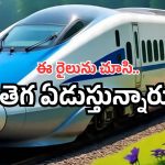 Vande Bharat Bullet Train: జపాన్ బుల్లెట్ ట్రైన్ ఔట్? వందే భారత్ ఇన్.. కిర్రాక్ న్యూస్ అంటే ఇదేనేమో!