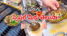 Vietnam Crab: పురుగు బాబోయ్! ఒక్కటి లక్ష యాభై వేలు! తెగ తినేస్తున్నారు!