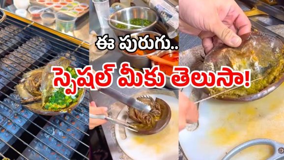 Vietnam Crab: పురుగు బాబోయ్! ఒక్కటి లక్ష యాభై వేలు! తెగ తినేస్తున్నారు!