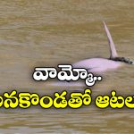 Viral News: అనకొండతో డాల్ఫిన్ ల ఆటలు, షాకైన శాస్త్రవేత్తలు!
