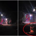 Viral Video: అమ్మవారి ఆలయానికి సింహాల కాపలా.. చూస్తే షాకవుతారు!